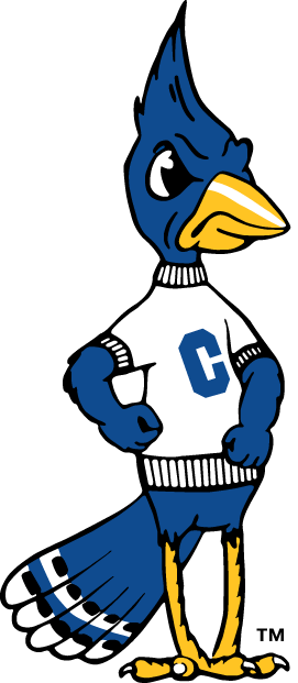 Creighton Bluejays 1999-2012 Alternate Logo v2 diy DTF decal sticker